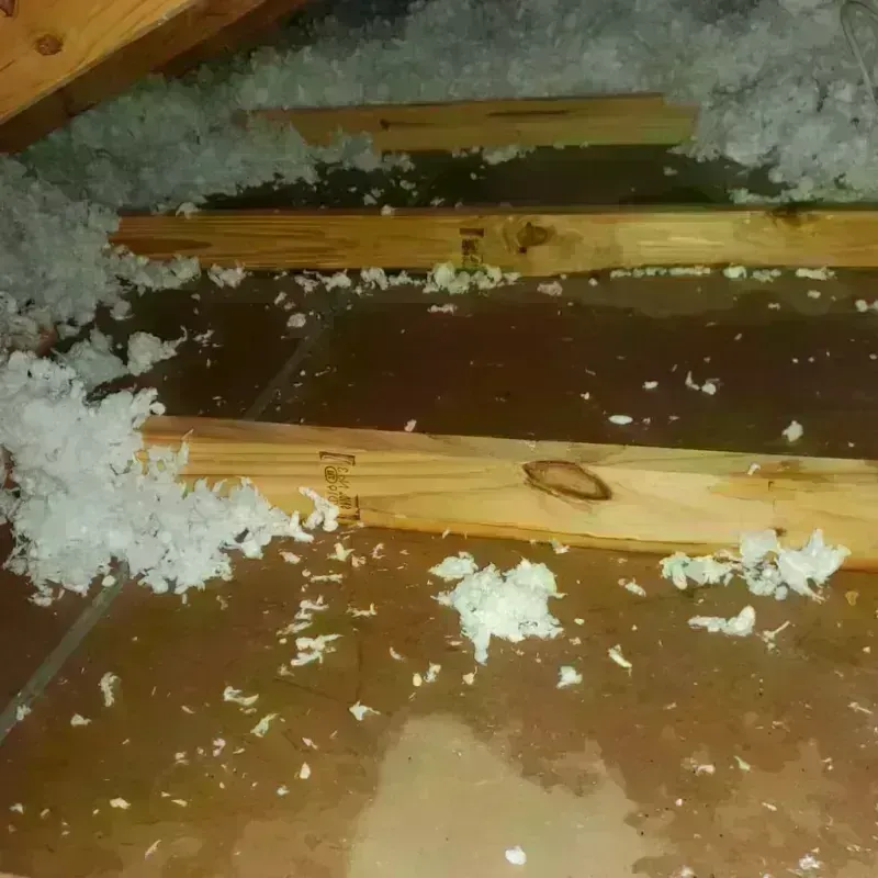 Attic Water Damage in Fall River, MA